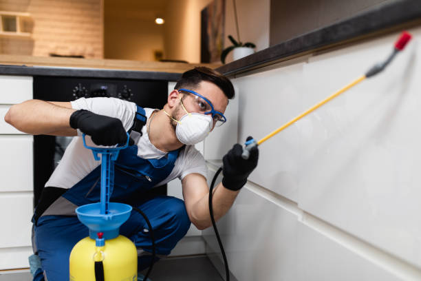 Best Cockroach Control Services  in La Conner, WA