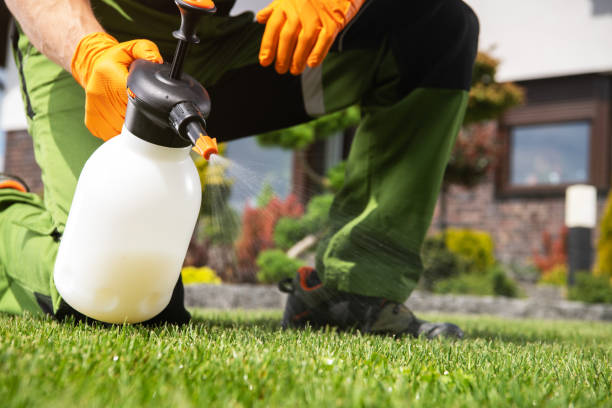 Best Pest Removal Services  in La Conner, WA