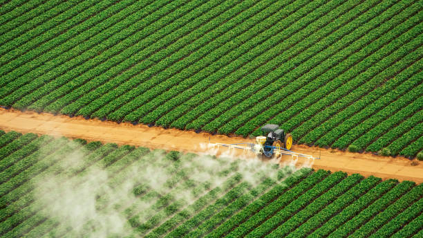 Reliable La Conner, WA Pest Control Solutions