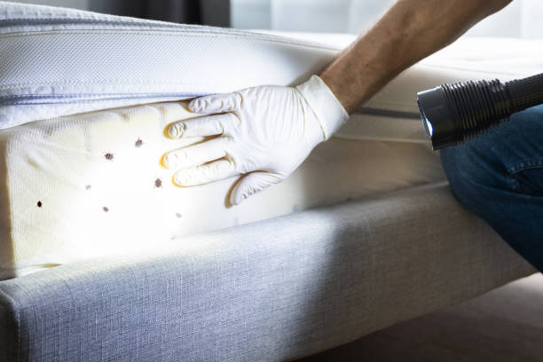 Best Pest Control Near Me  in La Conner, WA