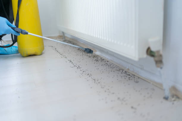 Best Ant Control Services  in La Conner, WA