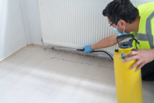 Best Wasp Removal Services  in La Conner, WA