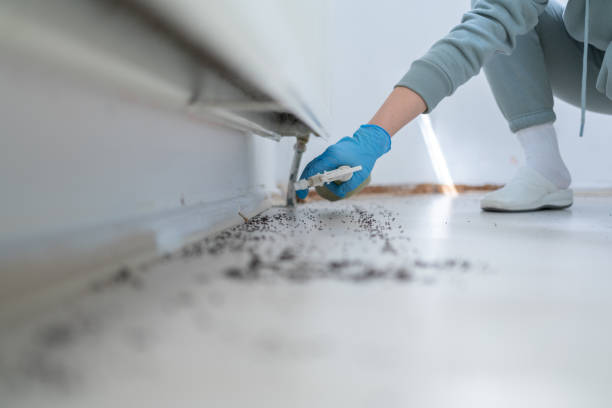 Best Flea Control Services  in La Conner, WA