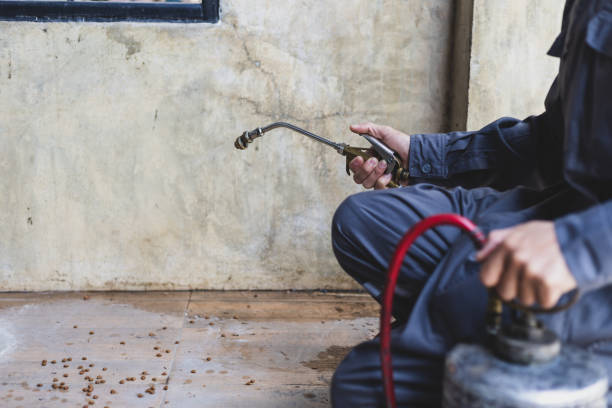 Best Rat Extermination Near Me  in La Conner, WA