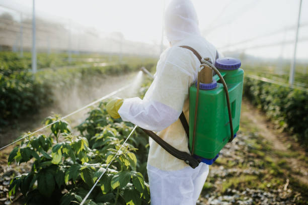 Best Pest Control for Restaurants  in La Conner, WA